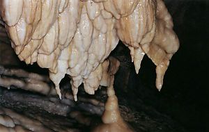 Stalagtites